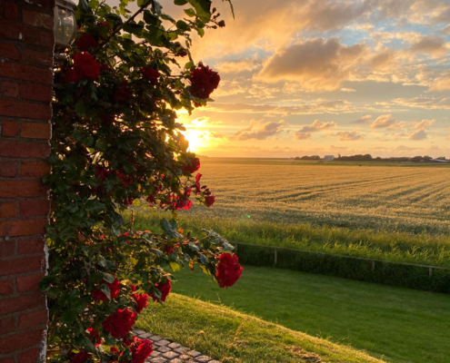 Foto Hofecke Silberhof im Sonnenuntergang